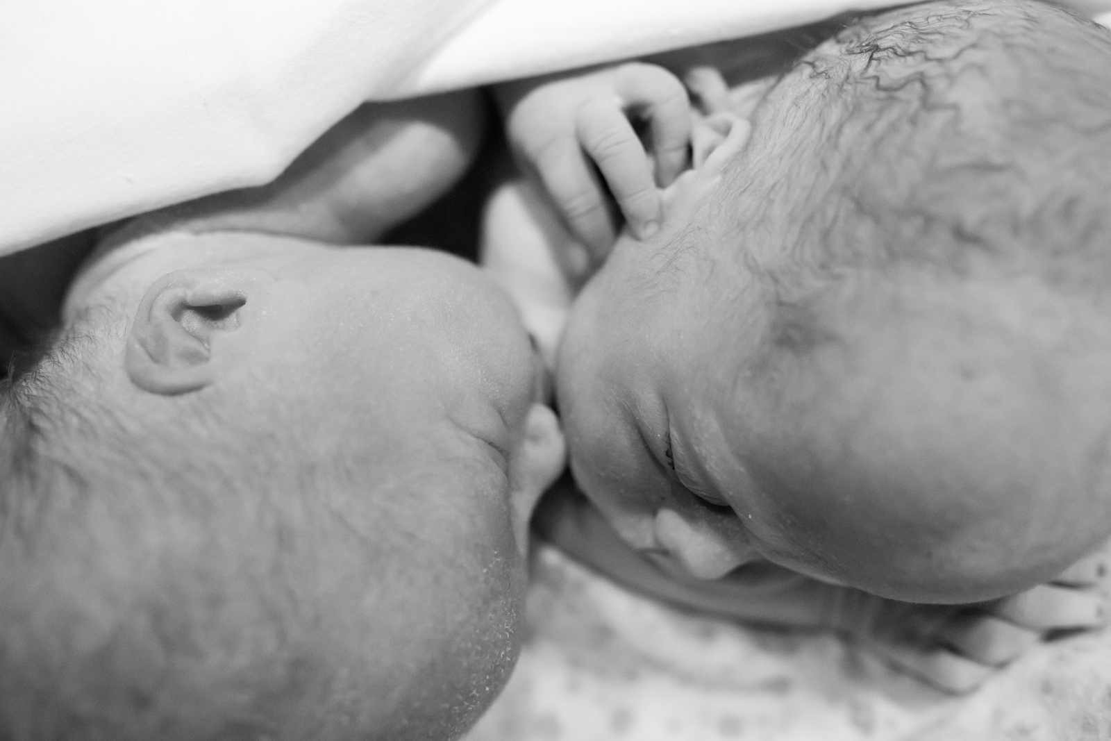 twin babies cuddle with each other