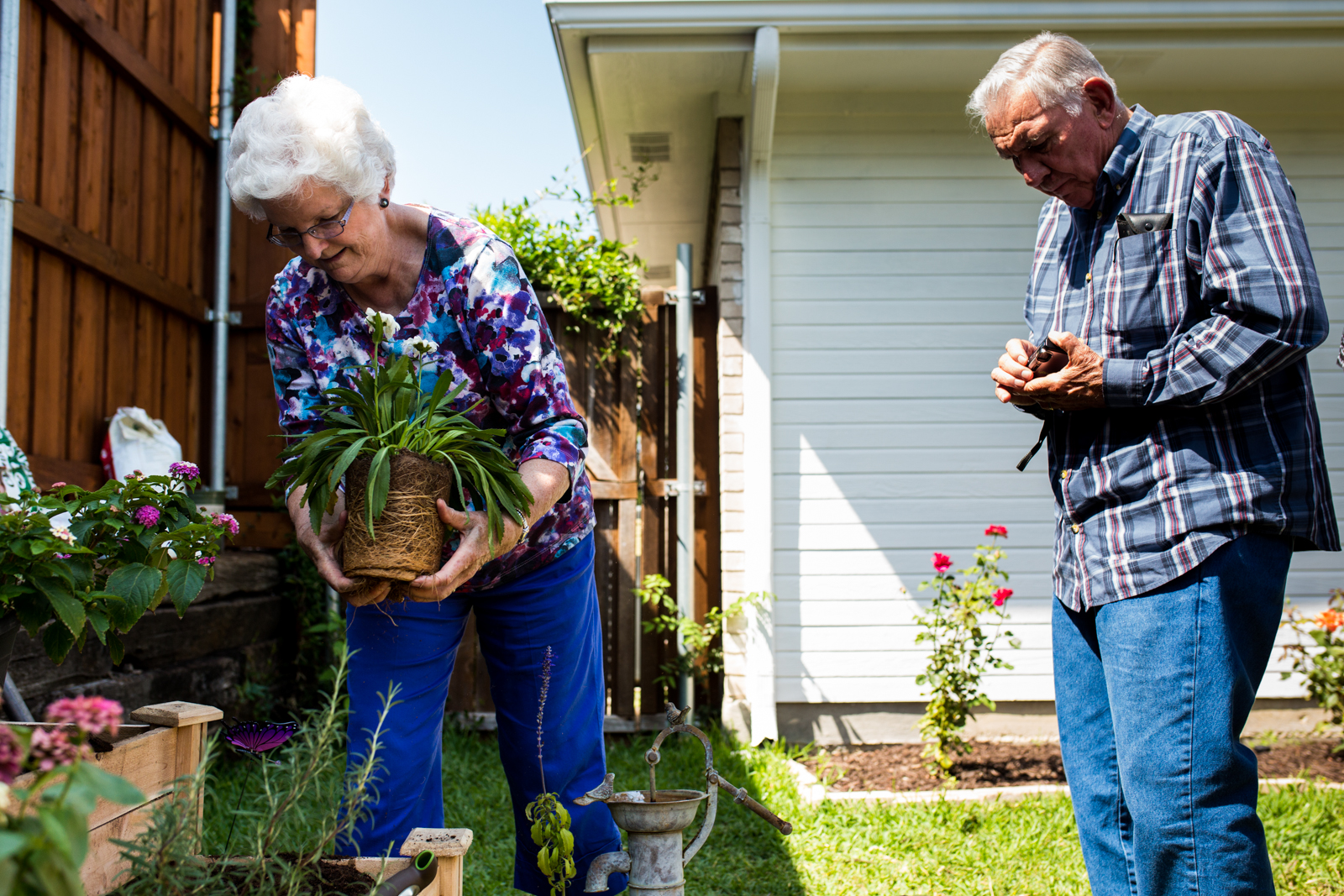 elderly people plant a flower in a garden
