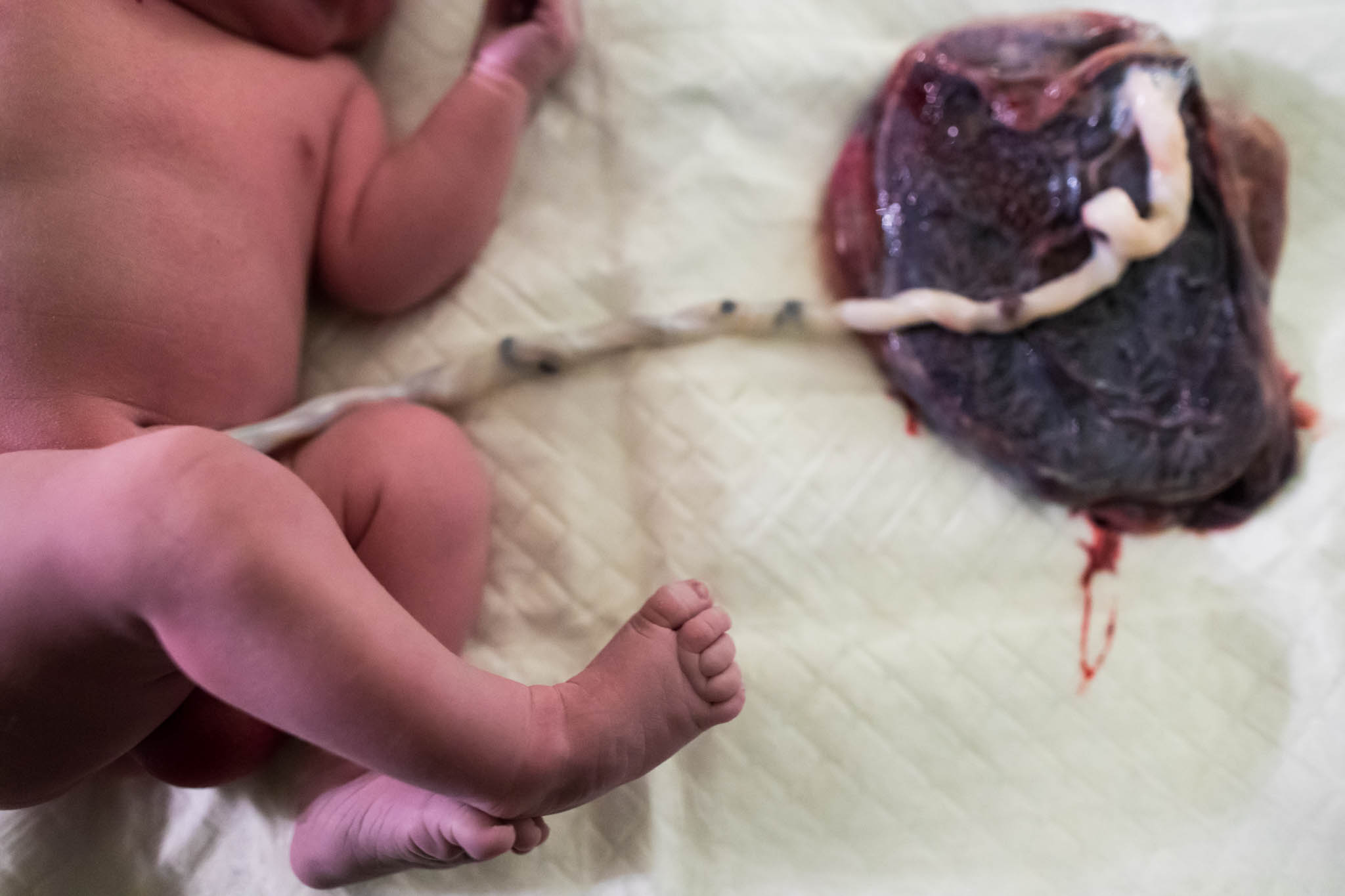 Lawren Rose Photography, a dallas birth photographer, takes a detailed photograph of a baby's umbilical cord still attached to his placenta